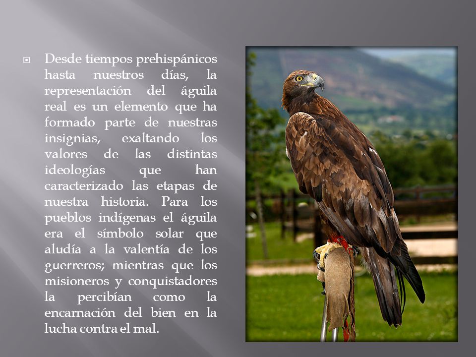 espantar a los animales con la voz ciudad de los ninos getafe